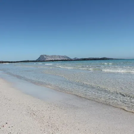 Ampia Veranda Coperta Spiaggia 1 Km Budoni Affitti Holiday home Tanaunella