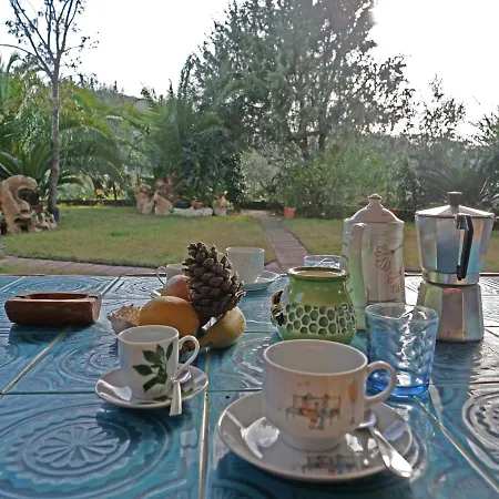 Ampia Veranda Coperta Spiaggia 1 Km Budoni Affitti Holiday home