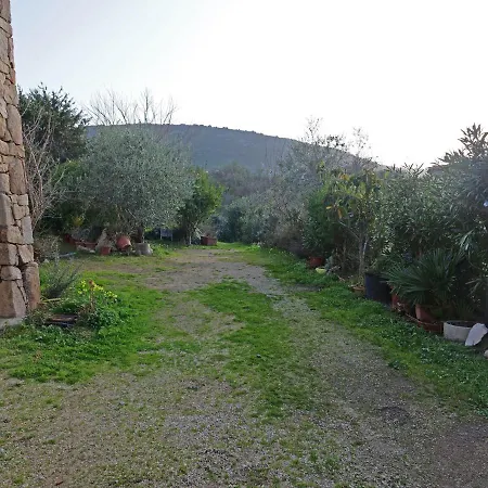 Ampia Veranda Coperta Spiaggia 1 Km Budoni Affitti